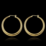 Picture of Amazing Big Casual Big Hoop Earrings