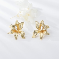 Picture of Unique Medium Zinc Alloy Stud Earrings